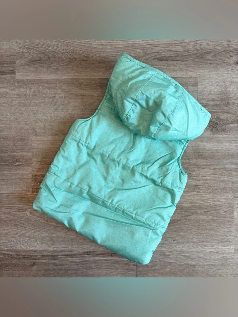 Disney Frozen Elsa toddler girls zip up puffer vest